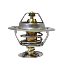 Termostat BM
