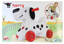 Big Harry
